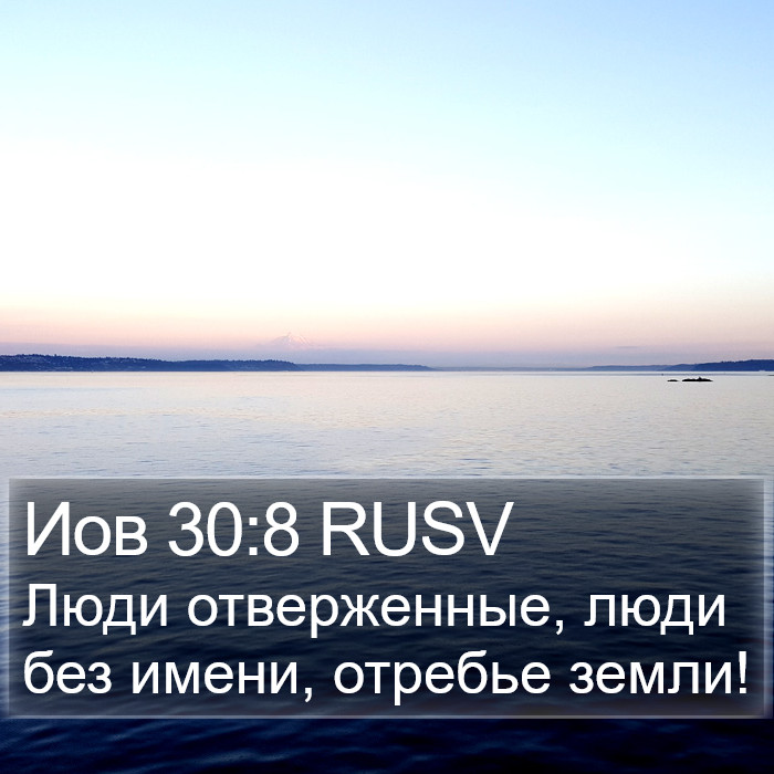 Иов 30:8 RUSV Bible Study