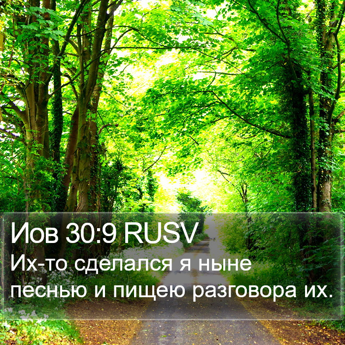 Иов 30:9 RUSV Bible Study