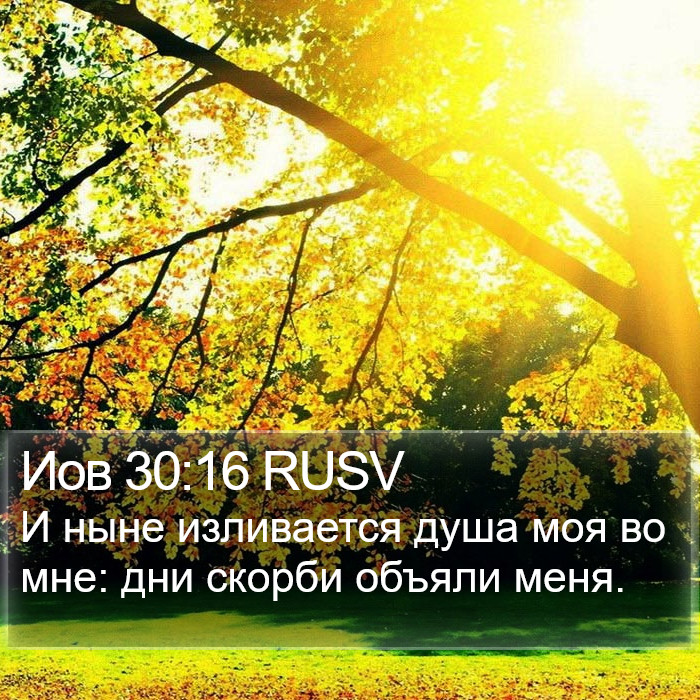 Иов 30:16 RUSV Bible Study