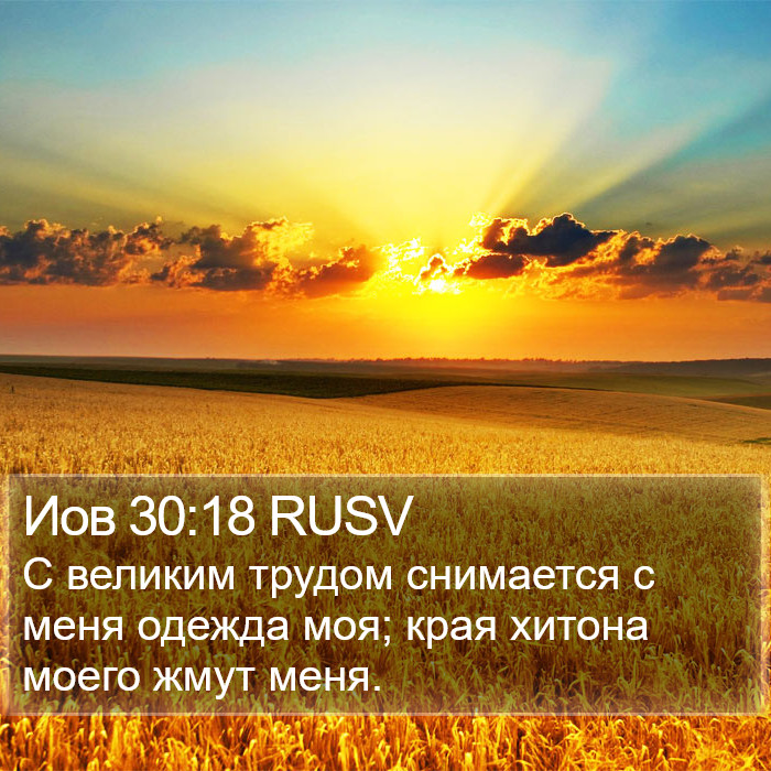 Иов 30:18 RUSV Bible Study