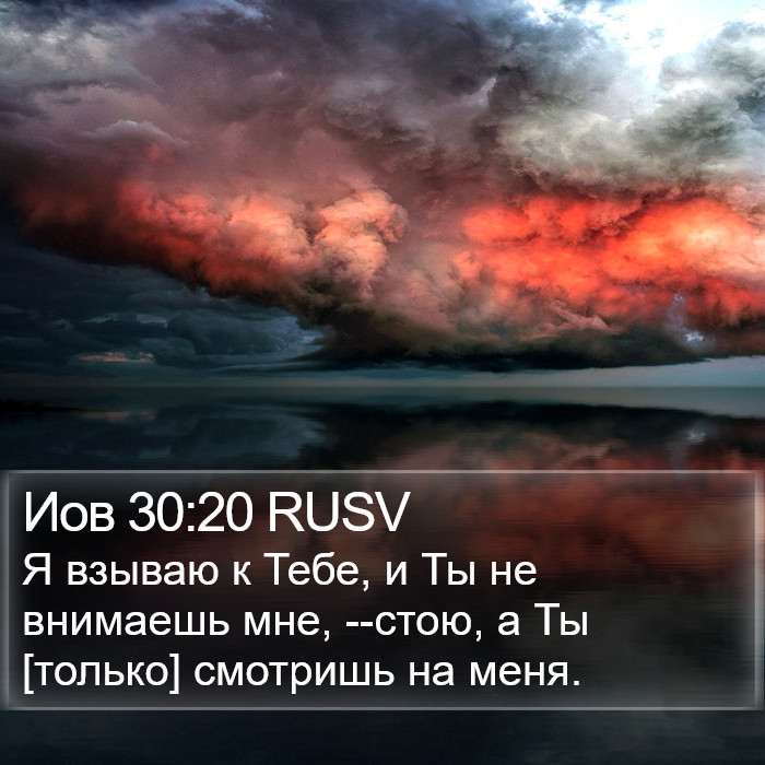 Иов 30:20 RUSV Bible Study