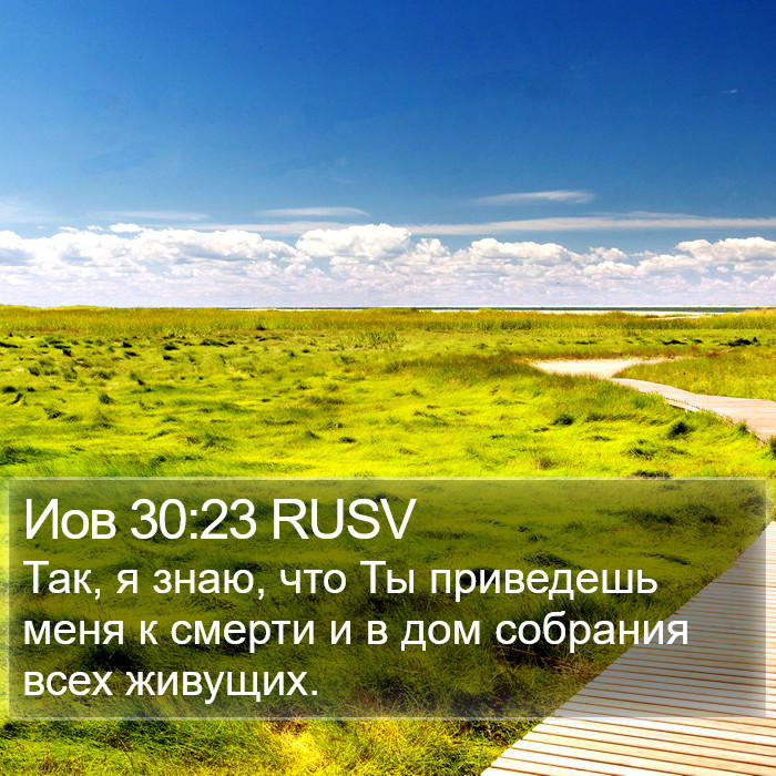 Иов 30:23 RUSV Bible Study