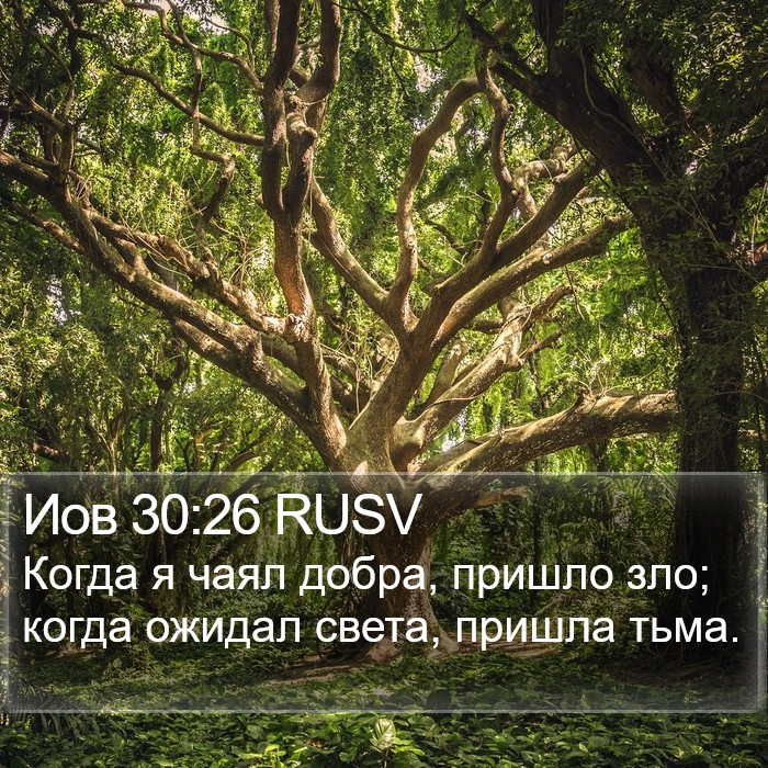 Иов 30:26 RUSV Bible Study