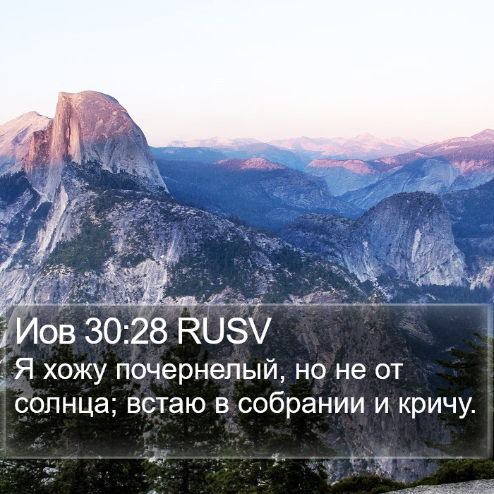 Иов 30:28 RUSV Bible Study