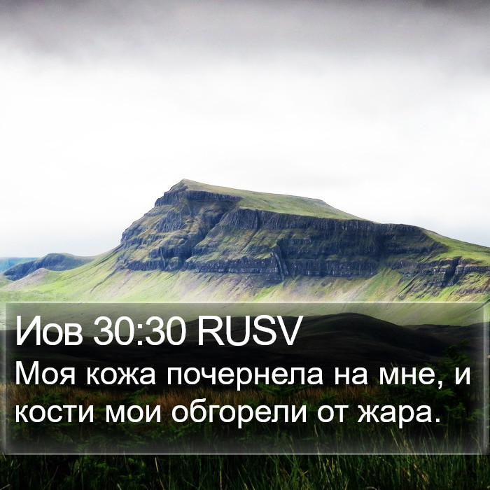 Иов 30:30 RUSV Bible Study