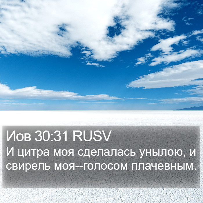 Иов 30:31 RUSV Bible Study