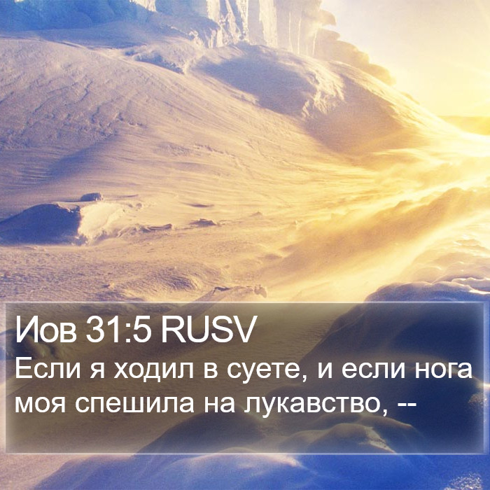 Иов 31:5 RUSV Bible Study