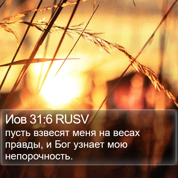 Иов 31:6 RUSV Bible Study