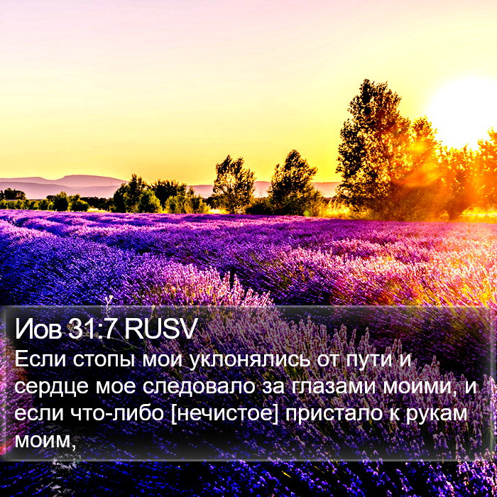 Иов 31:7 RUSV Bible Study