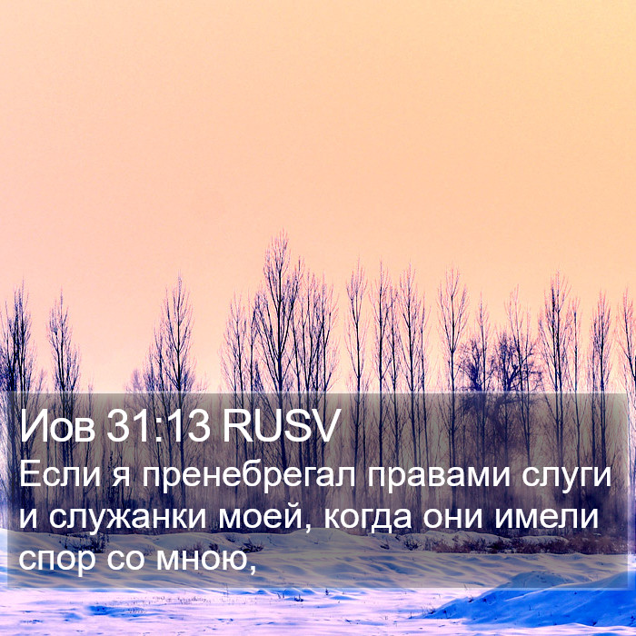 Иов 31:13 RUSV Bible Study