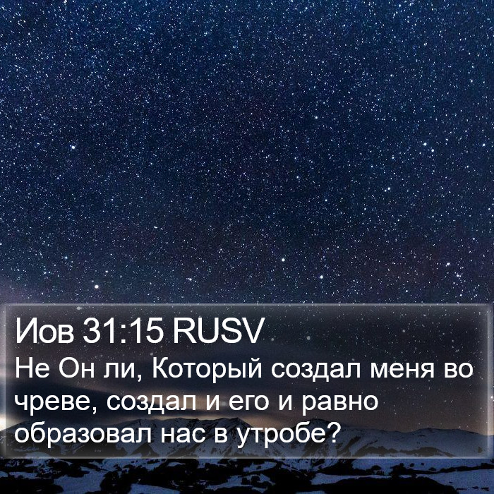 Иов 31:15 RUSV Bible Study