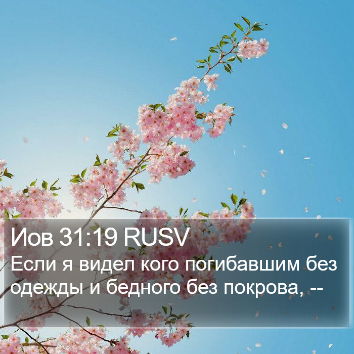 Иов 31:19 RUSV Bible Study
