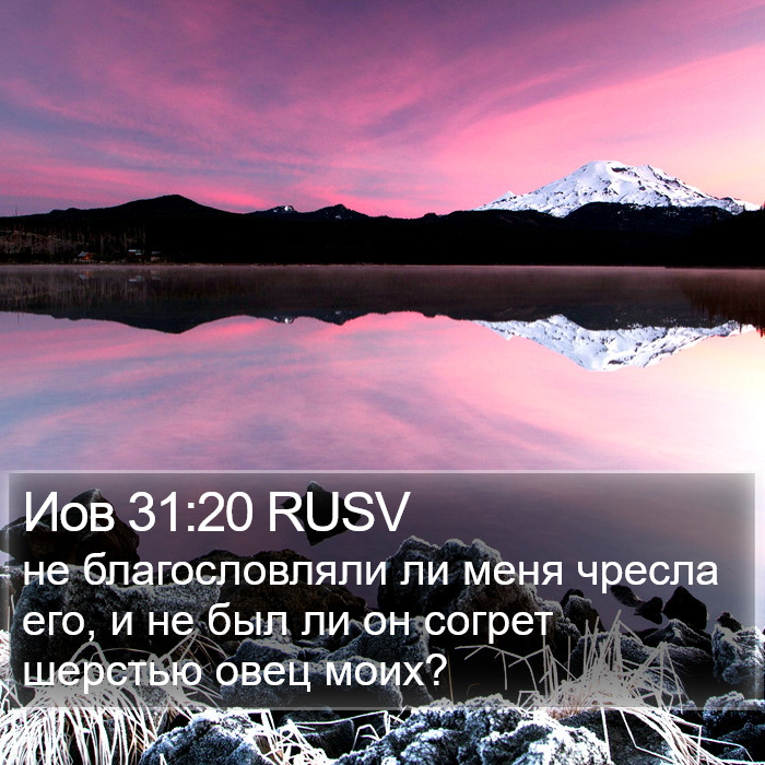 Иов 31:20 RUSV Bible Study