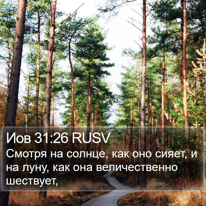 Иов 31:26 RUSV Bible Study