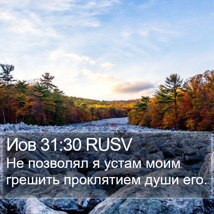 Иов 31:30 RUSV Bible Study