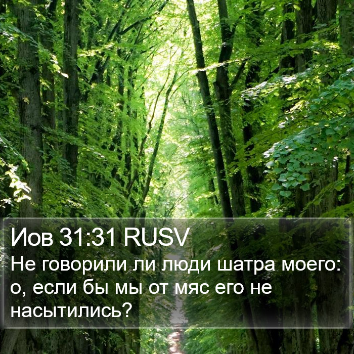 Иов 31:31 RUSV Bible Study