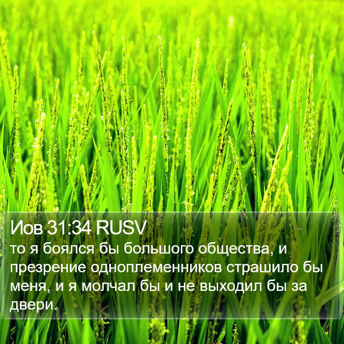 Иов 31:34 RUSV Bible Study