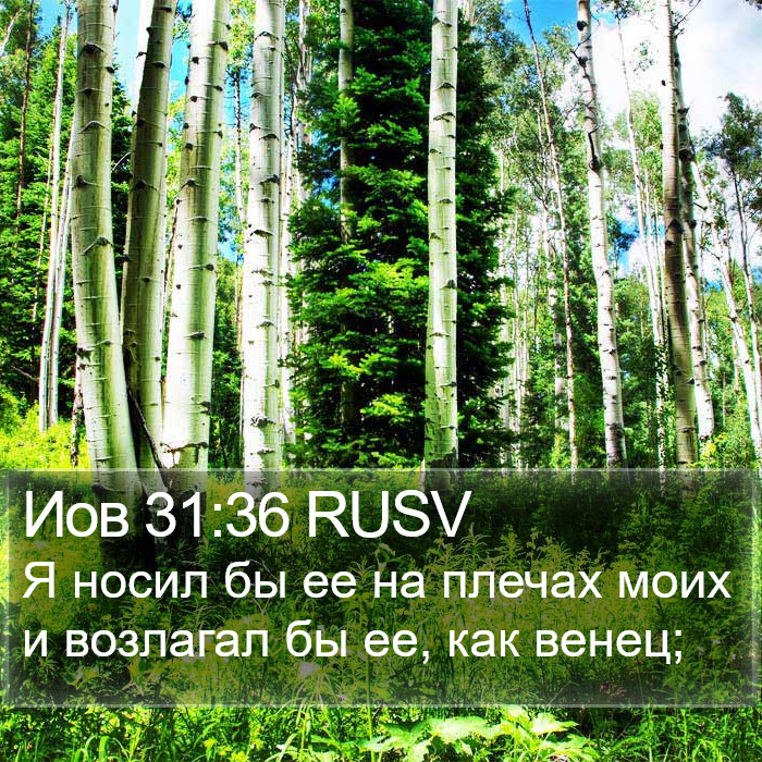 Иов 31:36 RUSV Bible Study