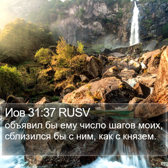 Иов 31:37 RUSV Bible Study