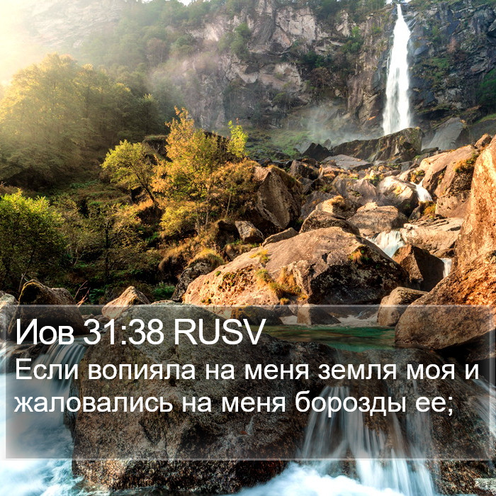 Иов 31:38 RUSV Bible Study