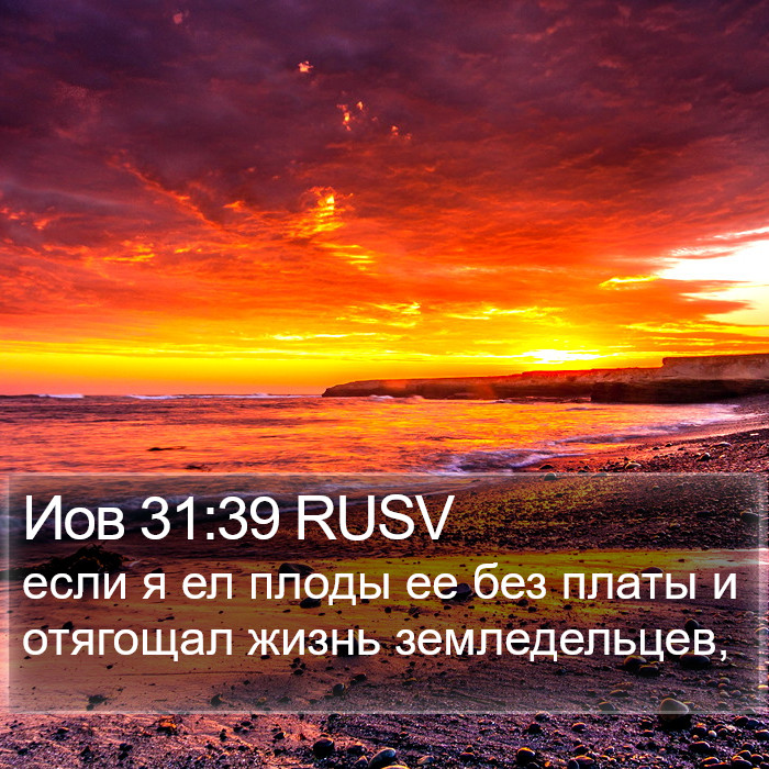 Иов 31:39 RUSV Bible Study