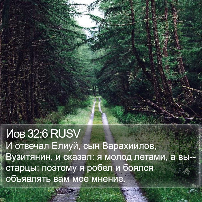 Иов 32:6 RUSV Bible Study