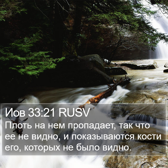 Иов 33:21 RUSV Bible Study