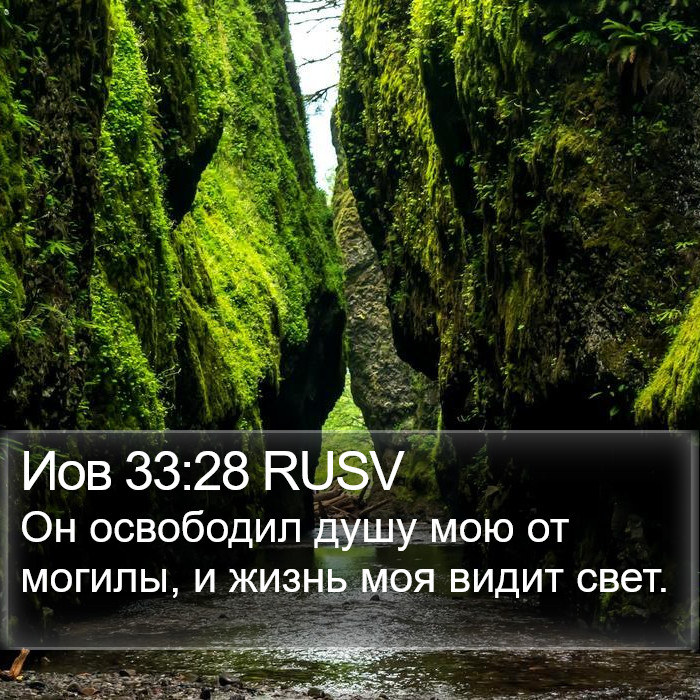 Иов 33:28 RUSV Bible Study