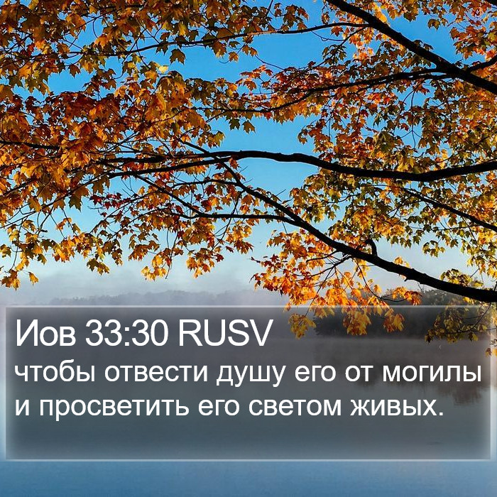 Иов 33:30 RUSV Bible Study