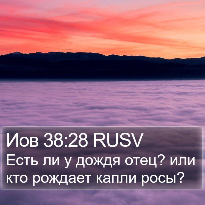Иов 38:28 RUSV Bible Study