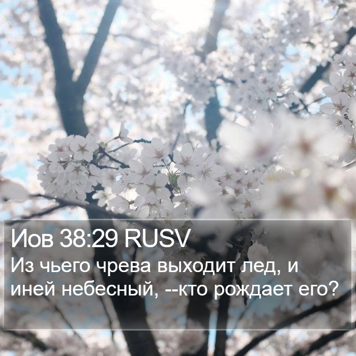 Иов 38:29 RUSV Bible Study