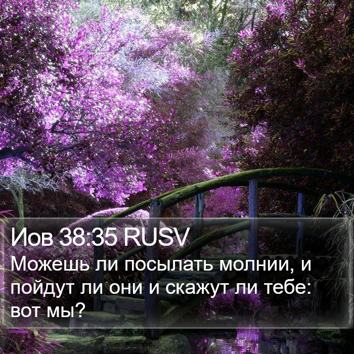 Иов 38:35 RUSV Bible Study