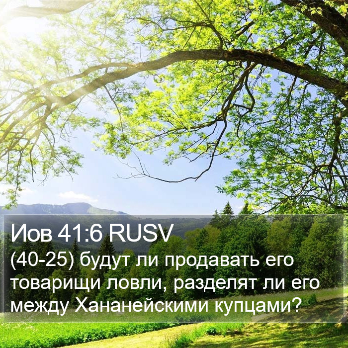 Иов 41:6 RUSV Bible Study