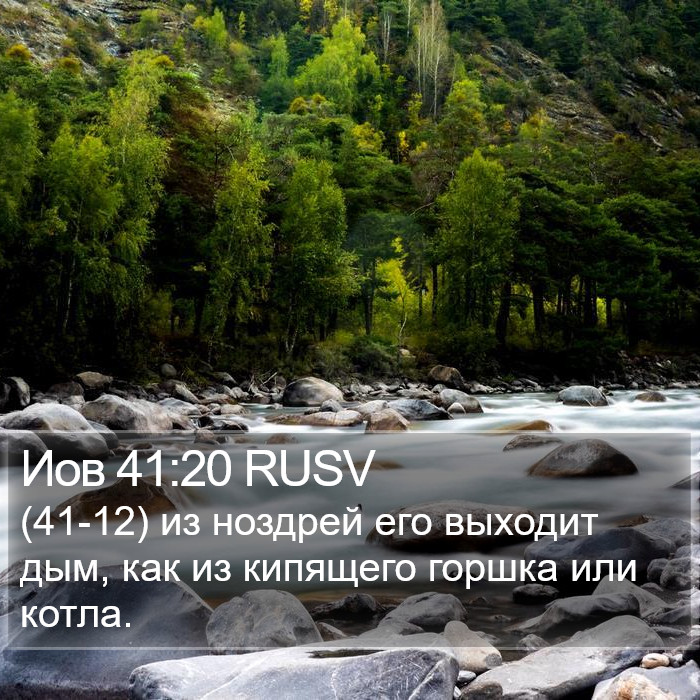 Иов 41:20 RUSV Bible Study