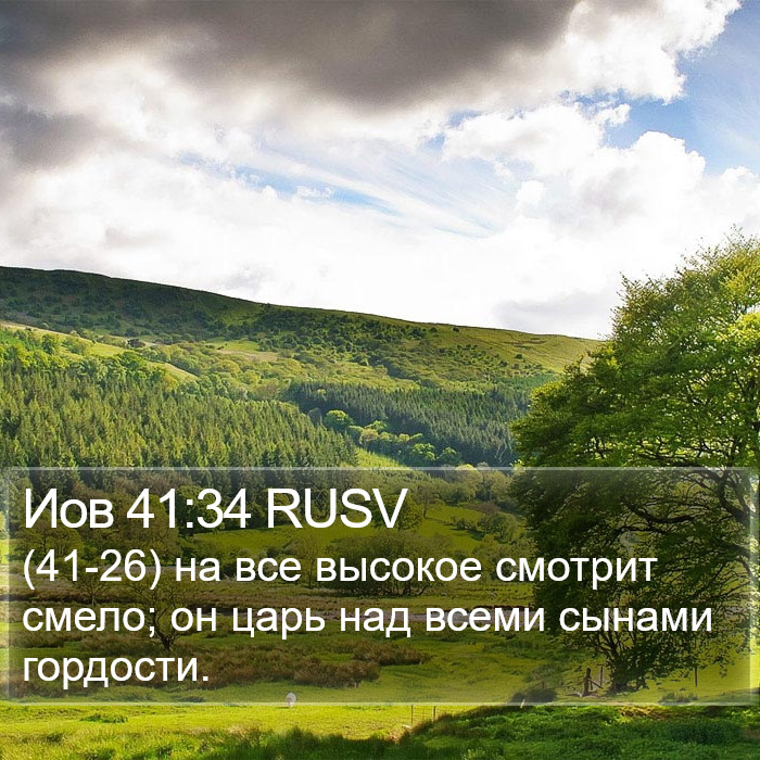 Иов 41:34 RUSV Bible Study