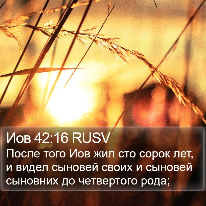Иов 42:16 RUSV Bible Study