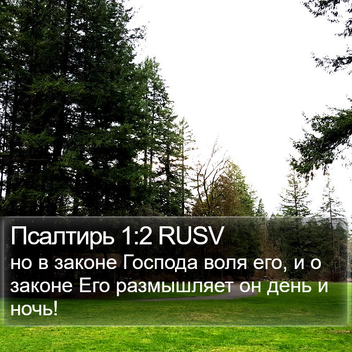 Псалтирь 1:2 RUSV Bible Study