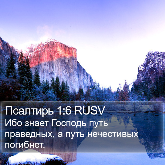 Псалтирь 1:6 RUSV Bible Study