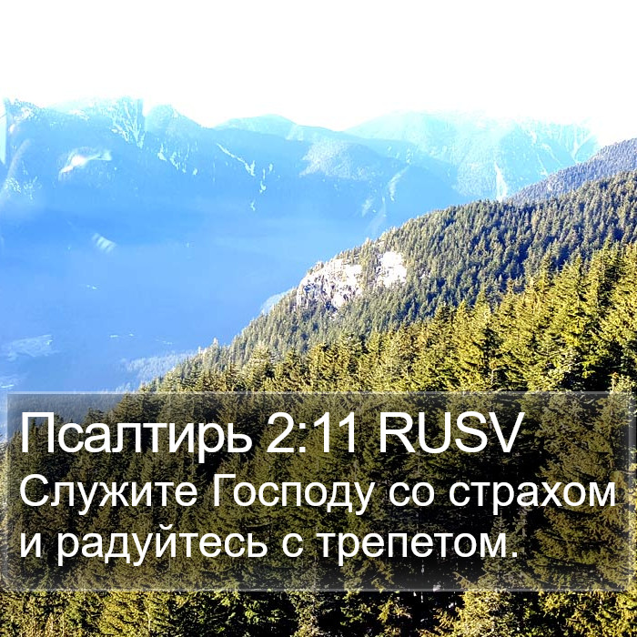 Псалтирь 2:11 RUSV Bible Study