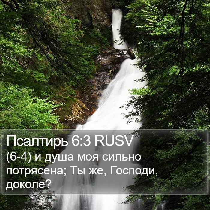 Псалтирь 6:3 RUSV Bible Study