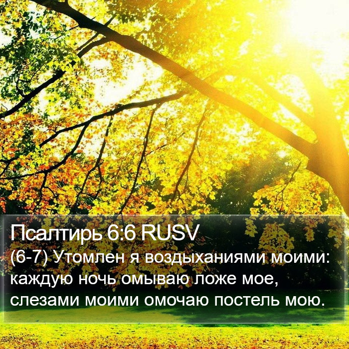 Псалтирь 6:6 RUSV Bible Study
