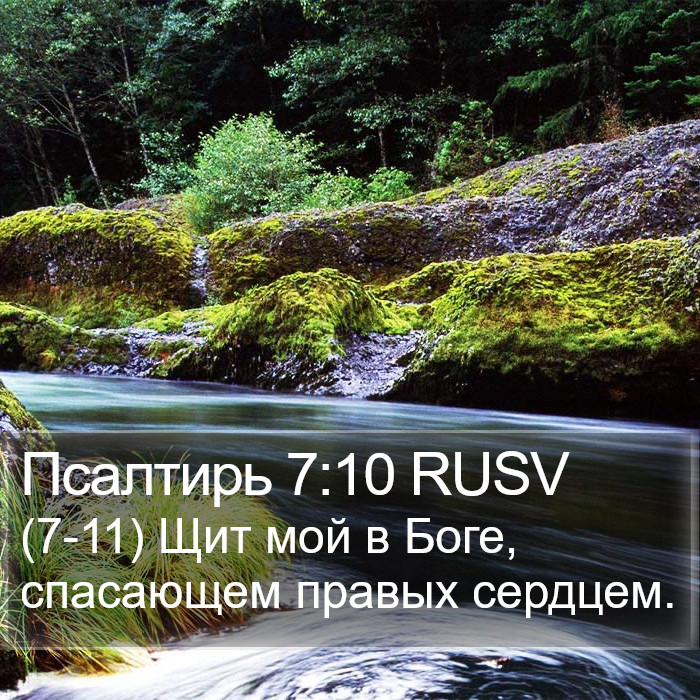 Псалтирь 7:10 RUSV Bible Study