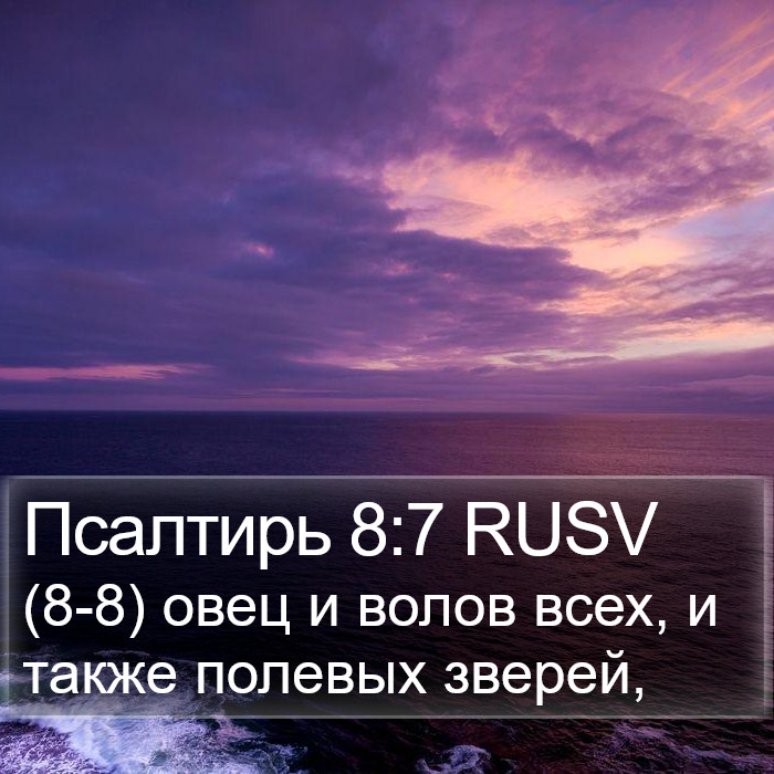 Псалтирь 8:7 RUSV Bible Study