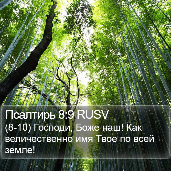 Псалтирь 8:9 RUSV Bible Study