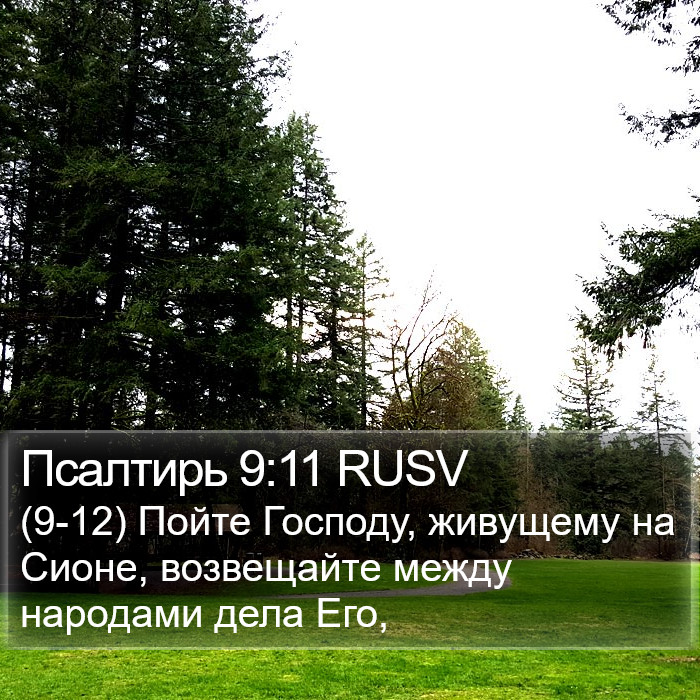 Псалтирь 9:11 RUSV Bible Study