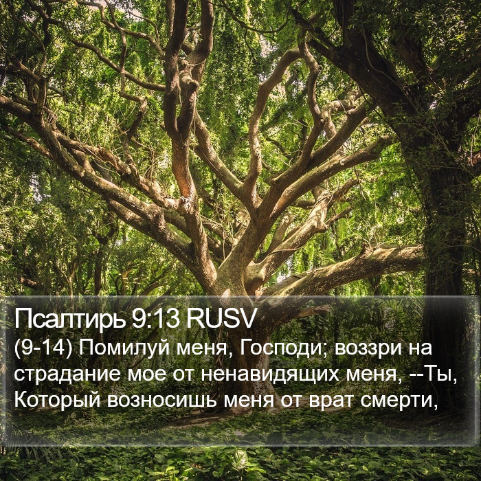 Псалтирь 9:13 RUSV Bible Study