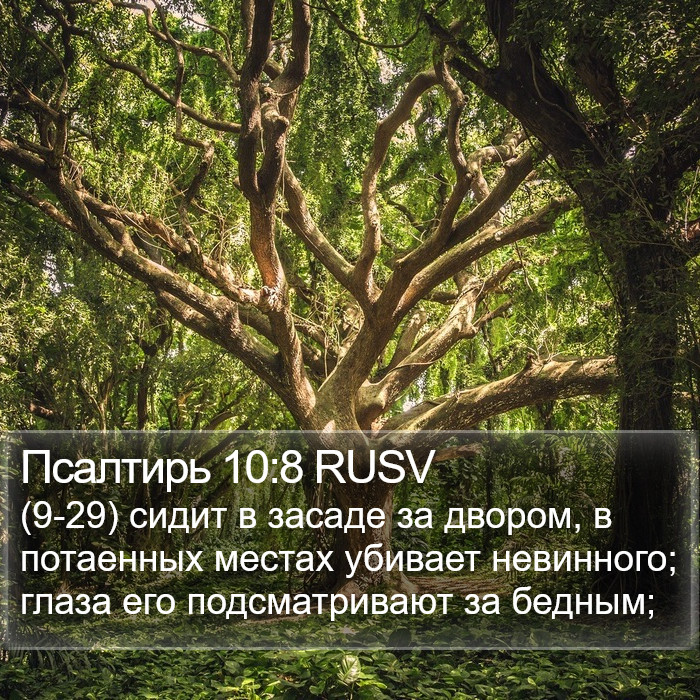 Псалтирь 10:8 RUSV Bible Study