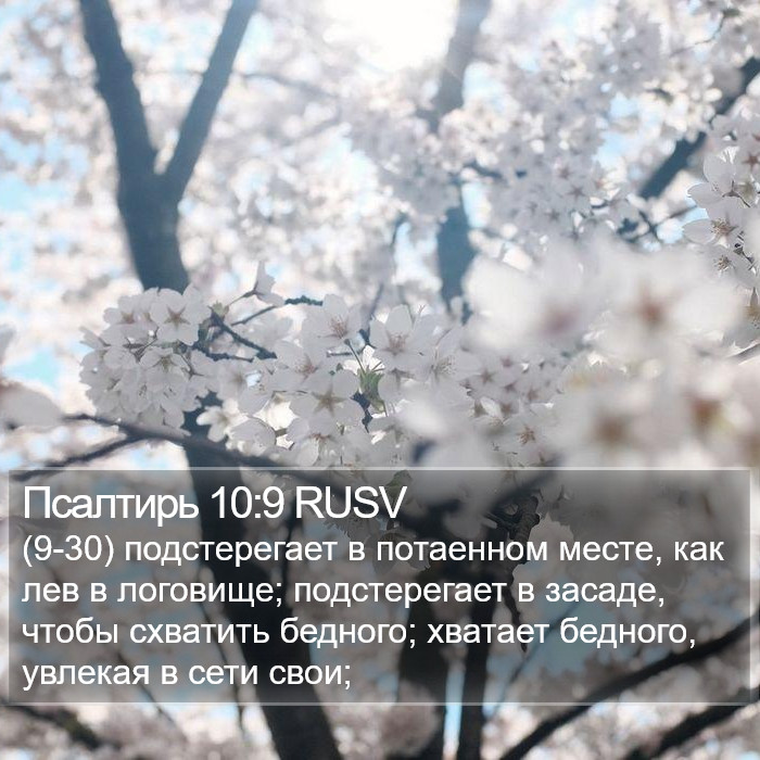 Псалтирь 10:9 RUSV Bible Study