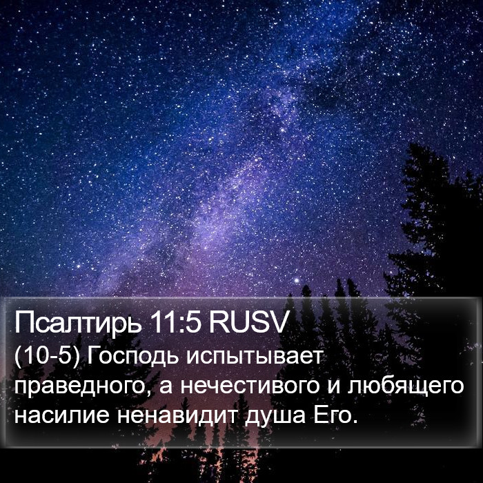 Псалтирь 11:5 RUSV Bible Study