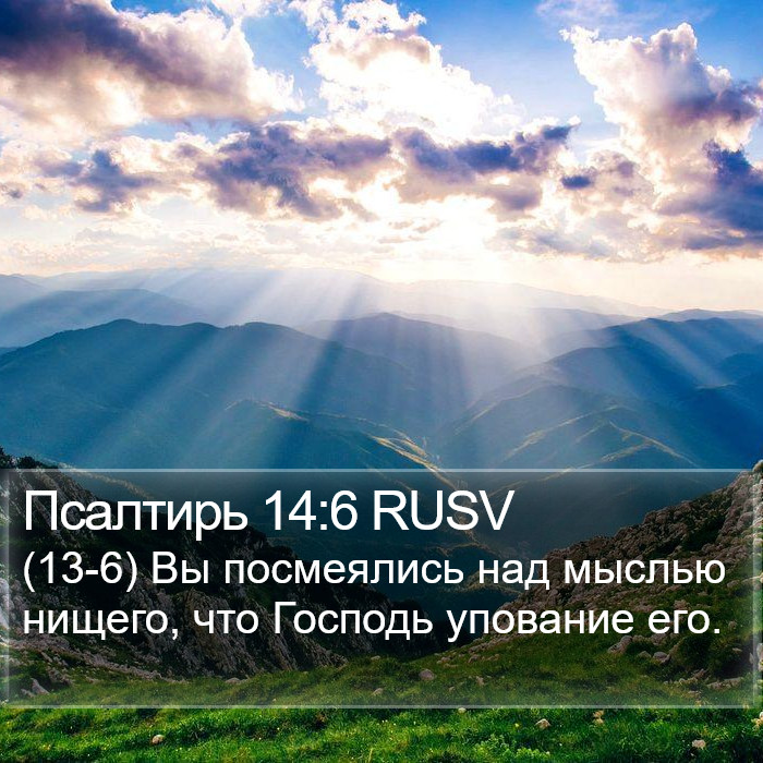 Псалтирь 14:6 RUSV Bible Study